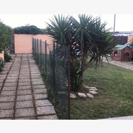 Giorgia Airport 2 Fiumicino Bed & Breakfast Exterior photo